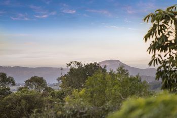 Eden Lodge - Accommodation Cairns 30