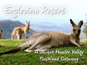 Eagleview Resort - Accommodation Cairns 45