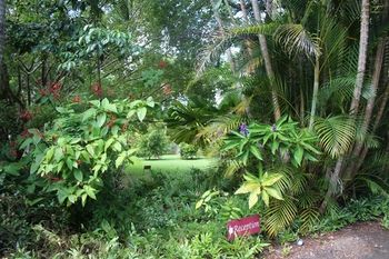 Sunshine Valley Cottages - Accommodation Cairns 8