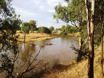 Ranelagh Bed And Breakfast - Accommodation Cairns 1