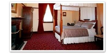 Ranelagh Bed And Breakfast - Accommodation Cairns 25
