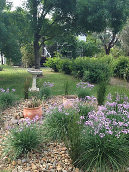 Yarraglen BnB - Accommodation Cairns 19