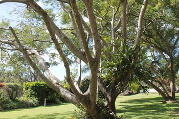 Buderim Fiesta Motel - Accommodation Cairns 19