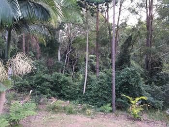 Mapleton Cabins & Caravan Park - Accommodation Cairns 27