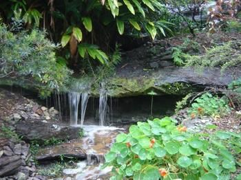 Beachview Homestay - Accommodation Cairns 5