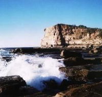 Terrigal Lagoon Bed and Breakfast - Accommodation Cairns