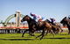 Hawkesbury Race Club Motel - thumb 12