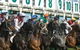 Hawkesbury Race Club Motel - thumb 13
