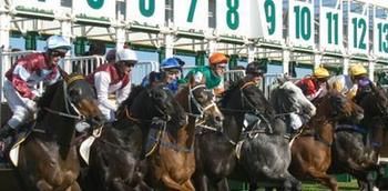 Hawkesbury Race Club Motel - Accommodation Cairns 13