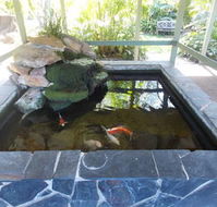 The Willows - Accommodation Cairns