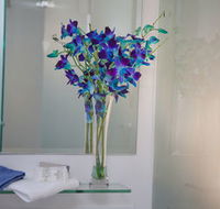 Grand Hotel Wyong - Accommodation Cairns