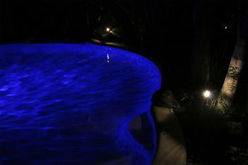 Alaya Escape - Accommodation Cairns 34