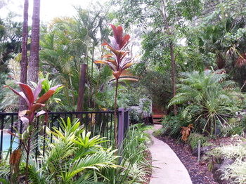 Alaya Escape - Accommodation Cairns 36