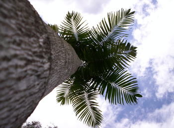 Alaya Escape - Accommodation Cairns 39