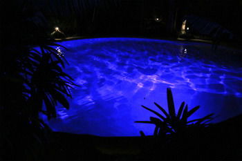 Alaya Escape - Accommodation Cairns 42