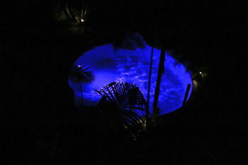 Alaya Escape - Accommodation Cairns 44