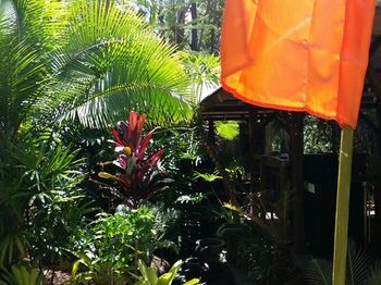 Alaya Escape - Accommodation Cairns 53