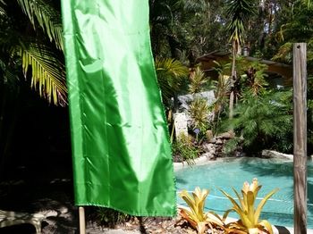 Alaya Escape - Accommodation Cairns 54