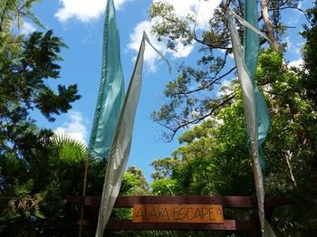 Alaya Escape - Accommodation Cairns 56