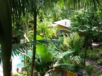 Alaya Escape - Accommodation Cairns 61