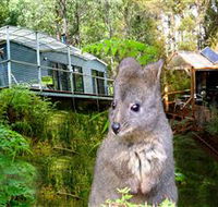 Huon Bush Retreats - Accommodation Cairns