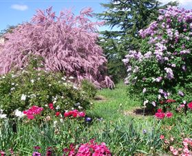 Elmshurst - Accommodation Cairns 0