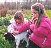 Huon Valley Caravan Park - Accommodation Cairns