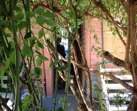 Memory Lane Cottages - Accommodation Cairns 2