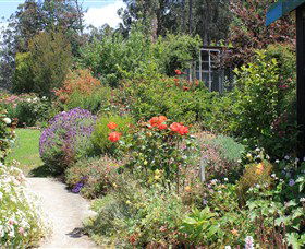 Thelma Retreat - Accommodation Cairns 2