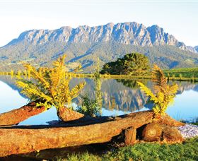 Eagles Nest Regreat - Accommodation Cairns 2