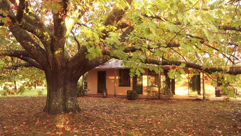 Delatite Station - Accommodation Cairns 3