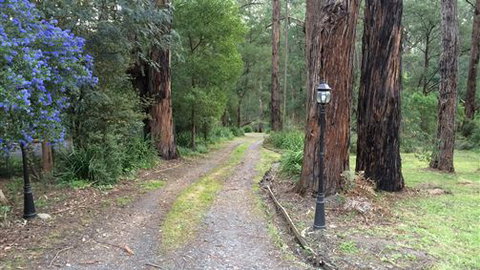 Wattle Tree Creek Cottages - Accommodation Cairns 5
