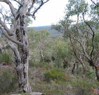 The Glen - Accommodation Cairns