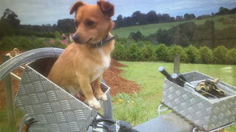 Farm Accommodation - Accommodation Cairns 1