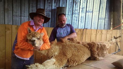 Farm Accommodation - Accommodation Cairns 3