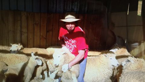 Farm Accommodation - Accommodation Cairns 2