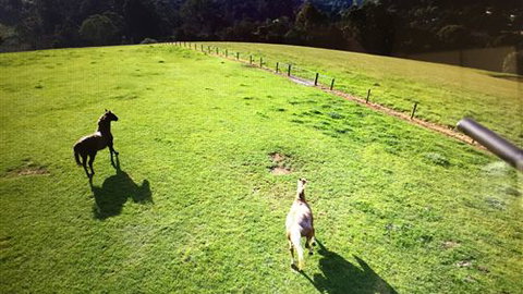 Farm Accommodation - Accommodation Cairns 4