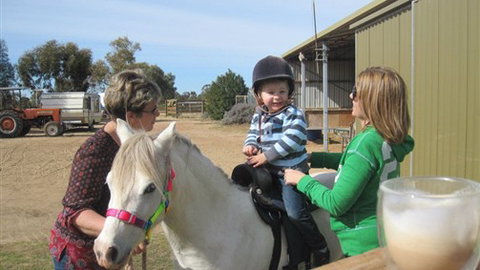Cabarita Lodge - Accommodation Cairns 2