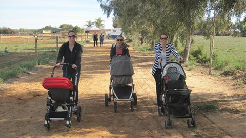 Cabarita Lodge - Accommodation Cairns 3