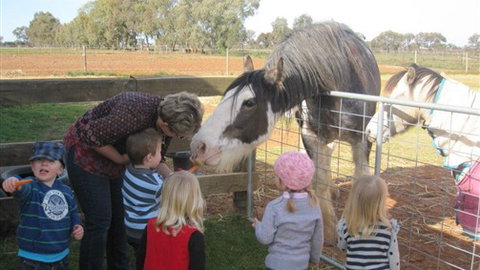 Cabarita Lodge - Accommodation Cairns 4