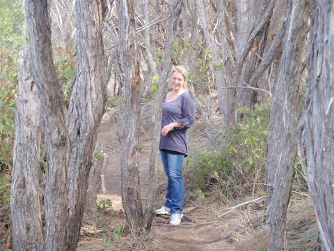 BIG4 Tathra Beach Holiday Park - Accommodation Cairns 7