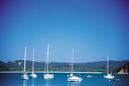 Boydtown Caravan & Camping Park - Accommodation Cairns 2