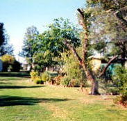 Condamine River Caravan Park - Accommodation Cairns