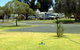 Country Club Caravan Park - thumb 2