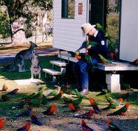 Inland Waters Holiday Parks Burrinjuck - Accommodation Cairns