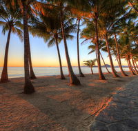 Palm Cove Holiday Park - Accommodation Cairns