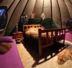 Aranyani Bison Adventure Tourist Park - Accommodation Cairns