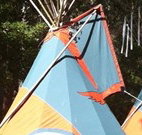 Central Coast Eco Tours - Accommodation Cairns