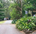 Tamborine Mountain Caravan  Camping - Accommodation Cairns