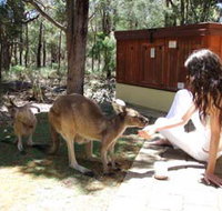 Yelverton Brook Eco Spa Retreat and Conservation Sanctuary - Accommodation Cairns